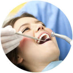 Bone and Tissue Grafting